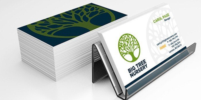 Standard Business Cards - TheDesignDept